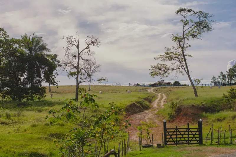 EcoCampo Sierra Norte