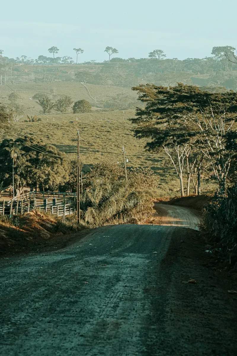 Digitalización de reservas para turismo rural sostenible