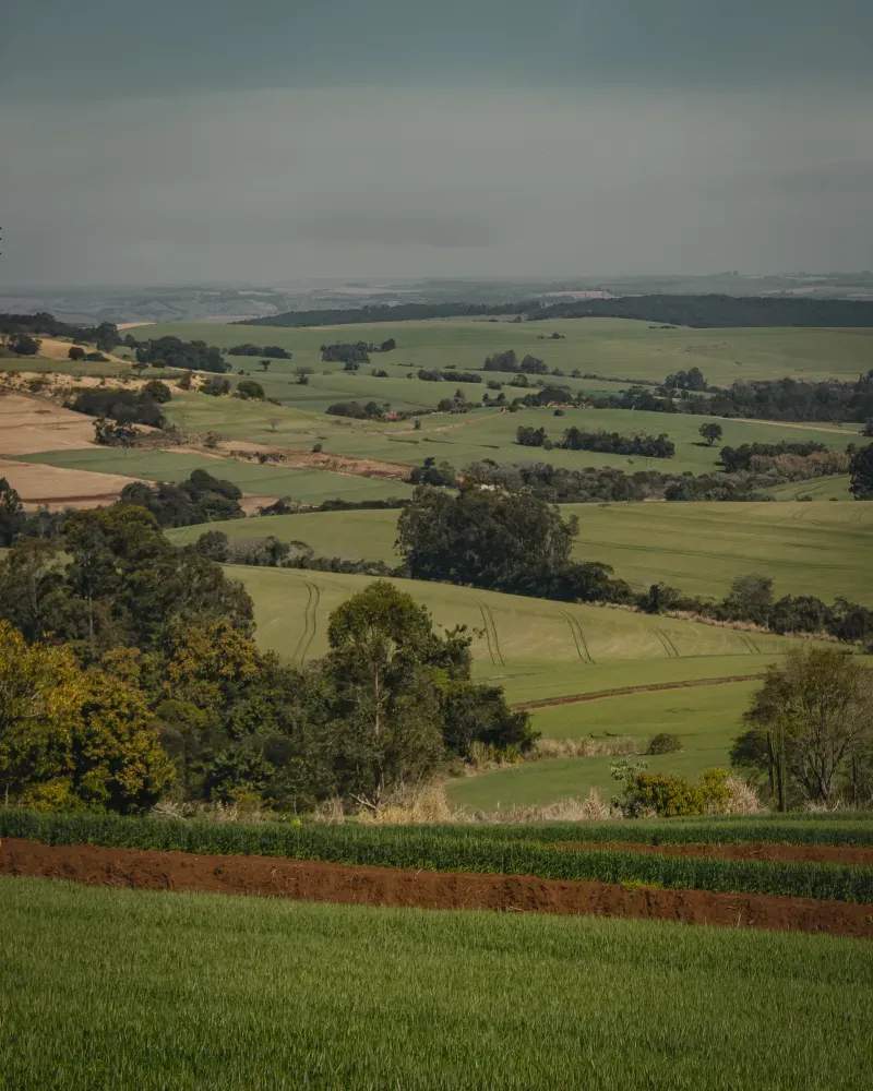 EcoCampo Sierra Norte 13