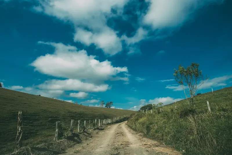 EcoCampo Sierra Norte 7